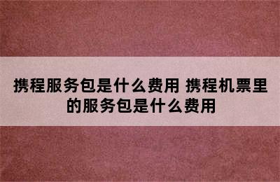 携程服务包是什么费用 携程机票里的服务包是什么费用